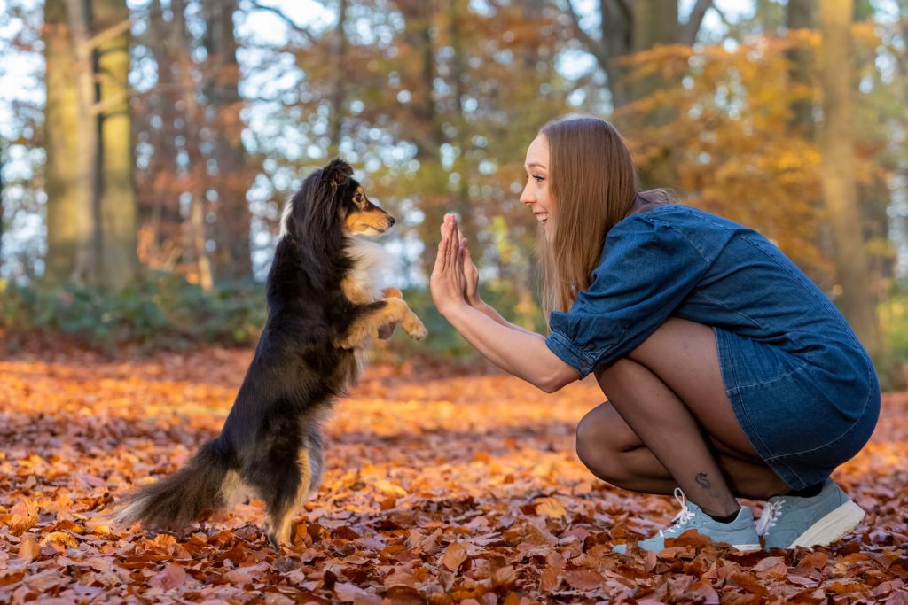 Portret van een hond met baasje in een bos met bladeren. Creatieve hondenfotografie vanuit Limburg door Huub Keulers en Lorette Janssen, Elsloo.